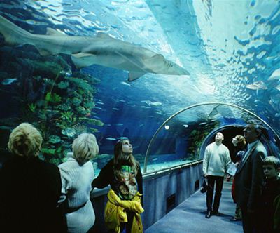 Budimpešta in Tropicarium