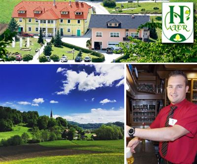 domačija Haler