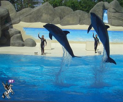 Enodnevni izlet v praznicni Gardaland in Sea Life
