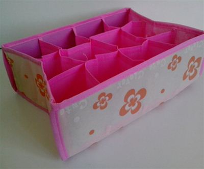 Organizator - predalnik