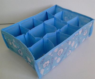 Organizator - predalnik