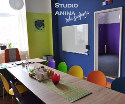 studio anina