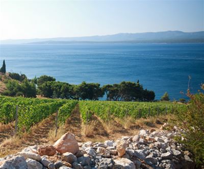 Apartma Brač