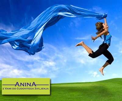 studio anina