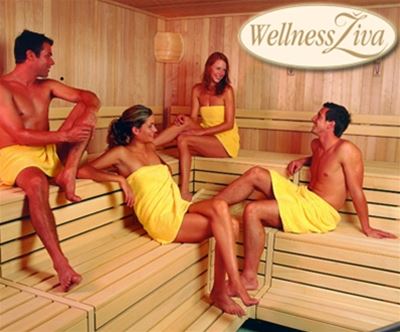 Celodnevna sprostitev v Wellness Živa na Bledu