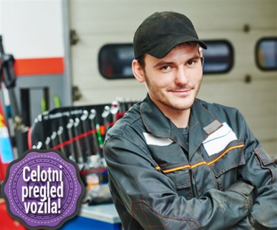 Sončnica avto