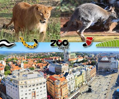 Jesenski Zagreb z obiskom živalskega vrta z goHolidays!