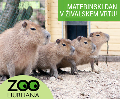 Celodnevna vstopnica za ZOO Ljubljana