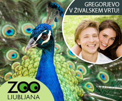 Celodnevna vstopnica za ZOO Ljubljana