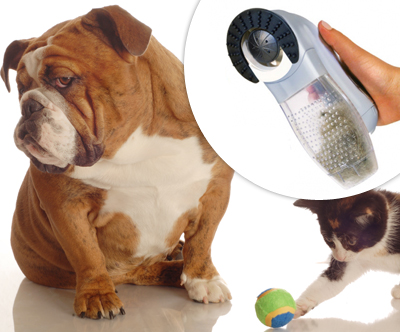 krtača/sesalnik 2 v 1 Shed Pal