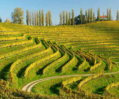 Ljutomer 3 dni za 2 Ljutomer 3 dni za 2