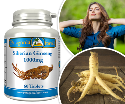 Sibirski ginseng