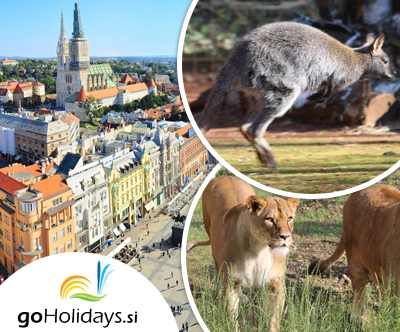 Cudoviti Zagreb in obisk živalskega vrta z goHolidays!