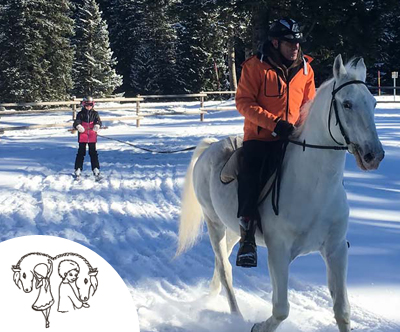 Skijoring - vleka smučarja s konjem