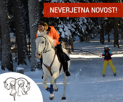 Skijoring - vleka smučarja s konjem