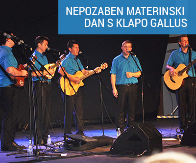 Klapa Gallus