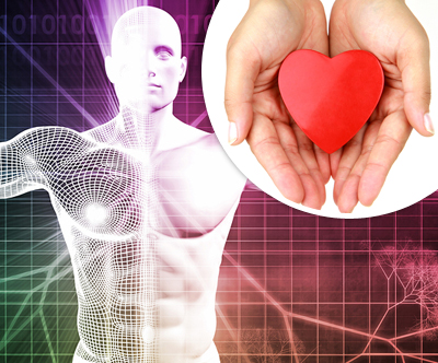Biotest diagnostika