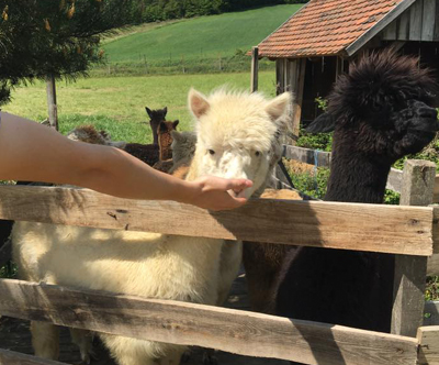 turistična kmetija mali raj