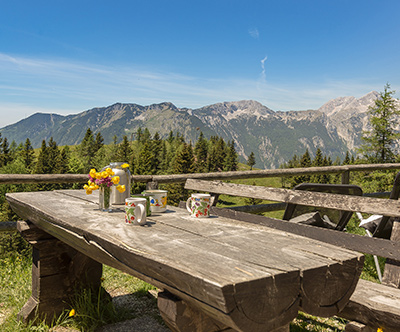 Velika planina za 5