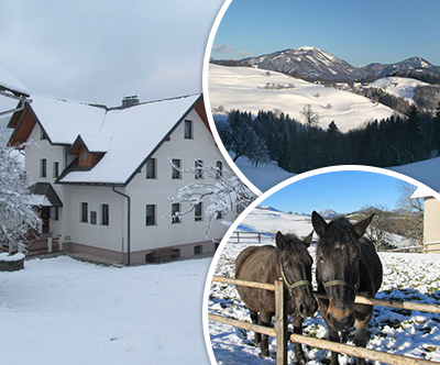 Turistična kmetija Ljubica: zimske počitnice