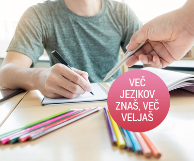 Priprava na splošno maturo iz angleščine 