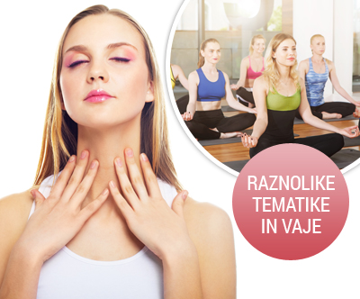 Wellness L.L. Studio