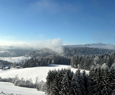 Gozdna hiška Evi, Mariborsko Pohorje, najem