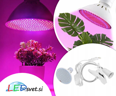 200 LED UV svetilka za rast rastlin z močjo 10 W