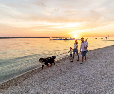 Turistično naselje BiVillage 4*, Fažana: mobilne hiške