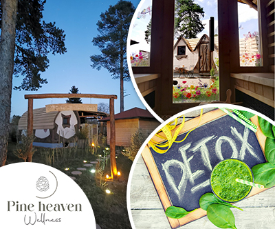 Wellness Pine Heaven: detox odklop