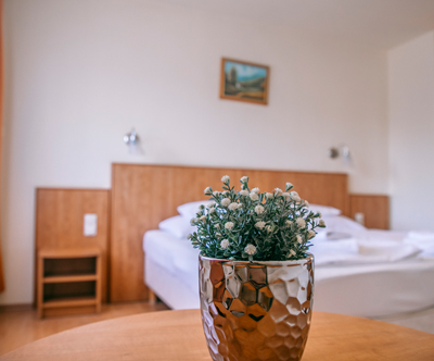 AquaTherm Hotel Zalakaros 3*, Madžarska, 2x nočitev
