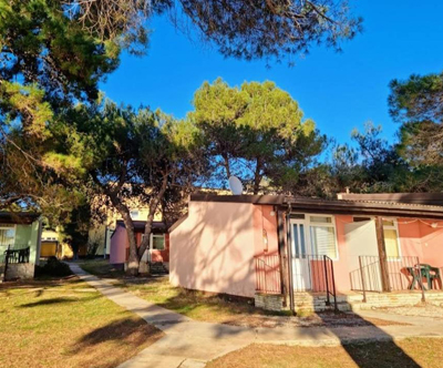 Family Bungalow Pineta: 2x nočitev