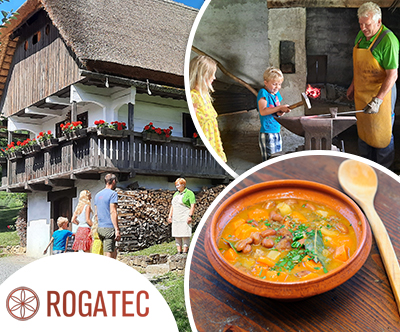 Muzej na prostem Rogatec: vstopnica