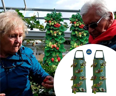 1+1 GRATIS StrawberryBag, viseča vreča za sajenje jago