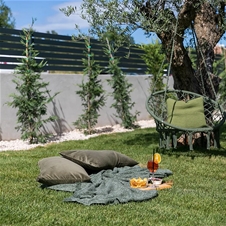 Villa Maslina, Villa Lavanda, Poreč: razkošen oddih