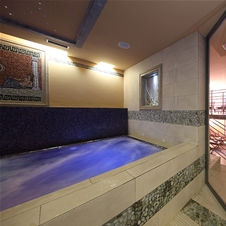 Wellness Mirta, Izola: savne in hidromasažni bazen