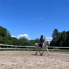 Equestin šola dresurnega jahanja, jahalni tabor