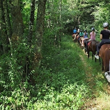 Equestin šola dresurnega jahanja, jahalni tabor