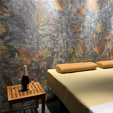 Hotel Vital, Moravske Toplice: najem wellnessa