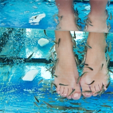 Salon lepote in zdravja Carpe Diem: fish spa terapija