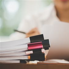 Lektoriranje in prevod besedila (1 avtorska stran)