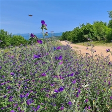 Hotel Malin 4*, Malinska, Krk: morski oddih