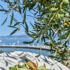 Hotel Malin 4*, Malinska, Krk: morski oddih