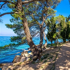 Hotel Malin 4*, Malinska, Krk: morski oddih