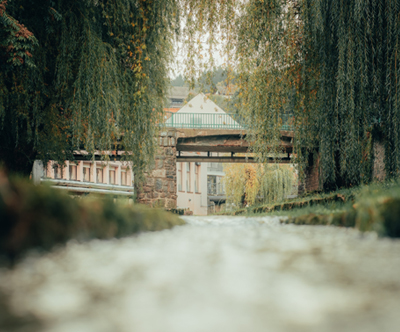 Apartmaji Stella, Dolenjske Toplice, najem Apartmaji Stella, Dolenjske Toplice, najem