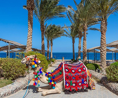 King Tut Aqua Park Beach Resort 4* v Hurgadi, Egipt King Tut Aqua Park Beach Resort 4* v Hurgadi, Egipt