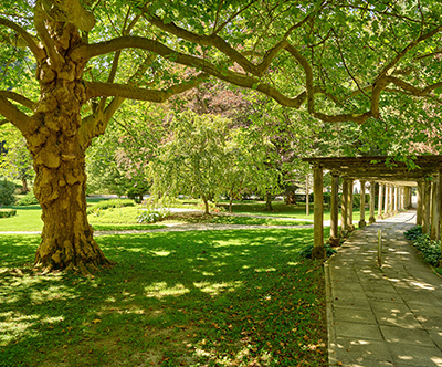 Terme Dobrna, Hotel Švicarija 4* ali Boutique Hotel 4*