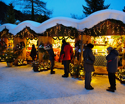 Predbožični Dunaj in Brno: dvodnevni izlet z avtobusom Predbožični Dunaj in Brno: dvodnevni izlet z avtobusom