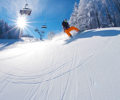 Apartmaji Forest Videc 3*, Mariborsko Pohorje