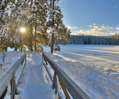 Apartmaji Forest Videc 3*, Mariborsko Pohorje Apartmaji Forest Videc 3*, Mariborsko Pohorje